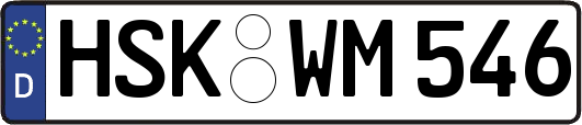 HSK-WM546
