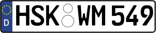 HSK-WM549