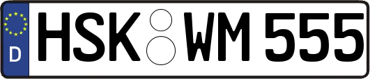 HSK-WM555