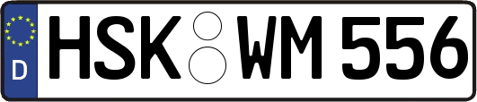 HSK-WM556