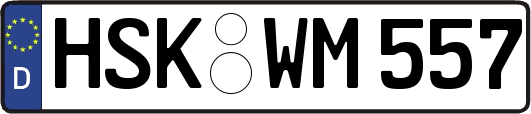 HSK-WM557