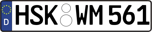 HSK-WM561