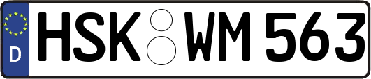 HSK-WM563