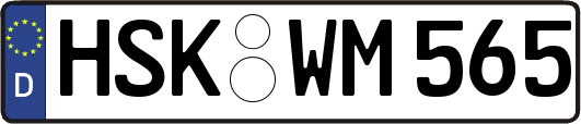HSK-WM565