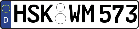 HSK-WM573