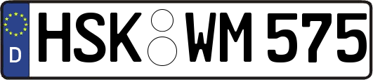 HSK-WM575