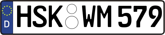 HSK-WM579