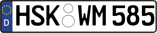 HSK-WM585