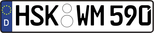 HSK-WM590