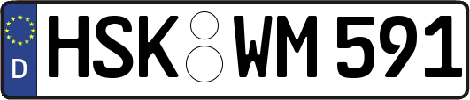 HSK-WM591