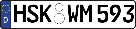 HSK-WM593