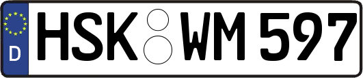 HSK-WM597