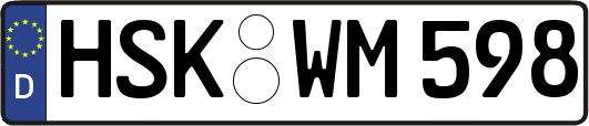 HSK-WM598