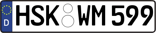 HSK-WM599