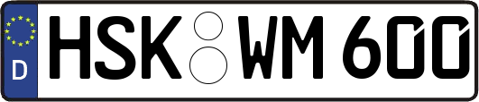 HSK-WM600