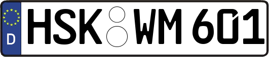 HSK-WM601