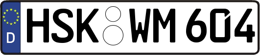 HSK-WM604