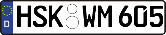 HSK-WM605