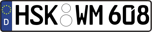 HSK-WM608