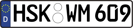 HSK-WM609