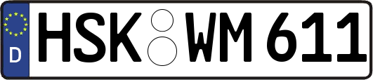HSK-WM611