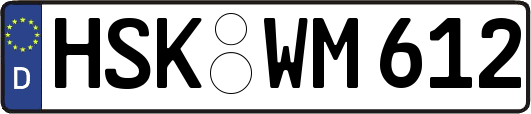 HSK-WM612