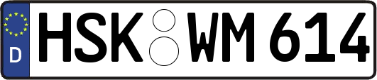 HSK-WM614