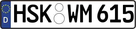 HSK-WM615