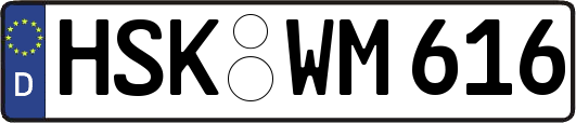 HSK-WM616