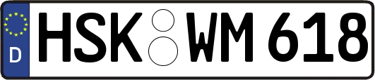 HSK-WM618