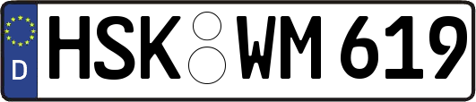 HSK-WM619