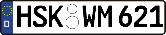 HSK-WM621
