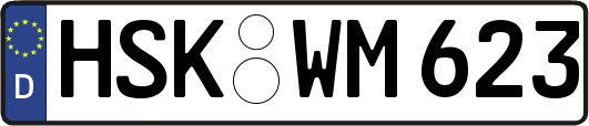 HSK-WM623