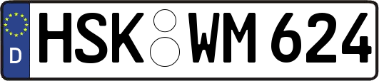 HSK-WM624
