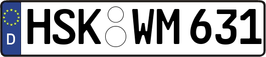 HSK-WM631
