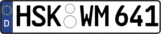 HSK-WM641