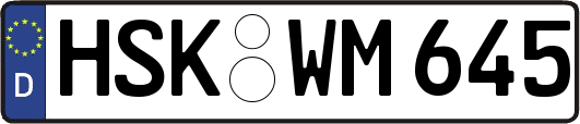 HSK-WM645