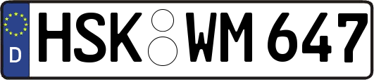 HSK-WM647