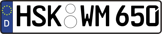 HSK-WM650
