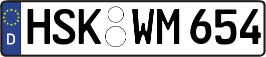 HSK-WM654
