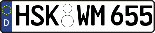 HSK-WM655