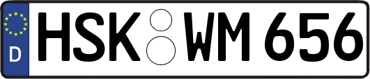 HSK-WM656