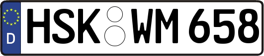 HSK-WM658