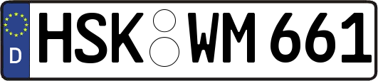 HSK-WM661