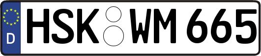 HSK-WM665