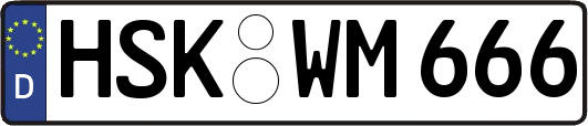 HSK-WM666