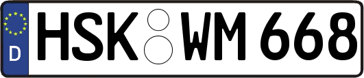 HSK-WM668