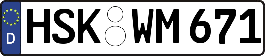 HSK-WM671