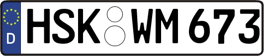 HSK-WM673