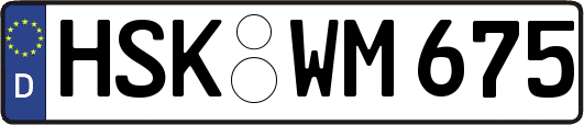 HSK-WM675